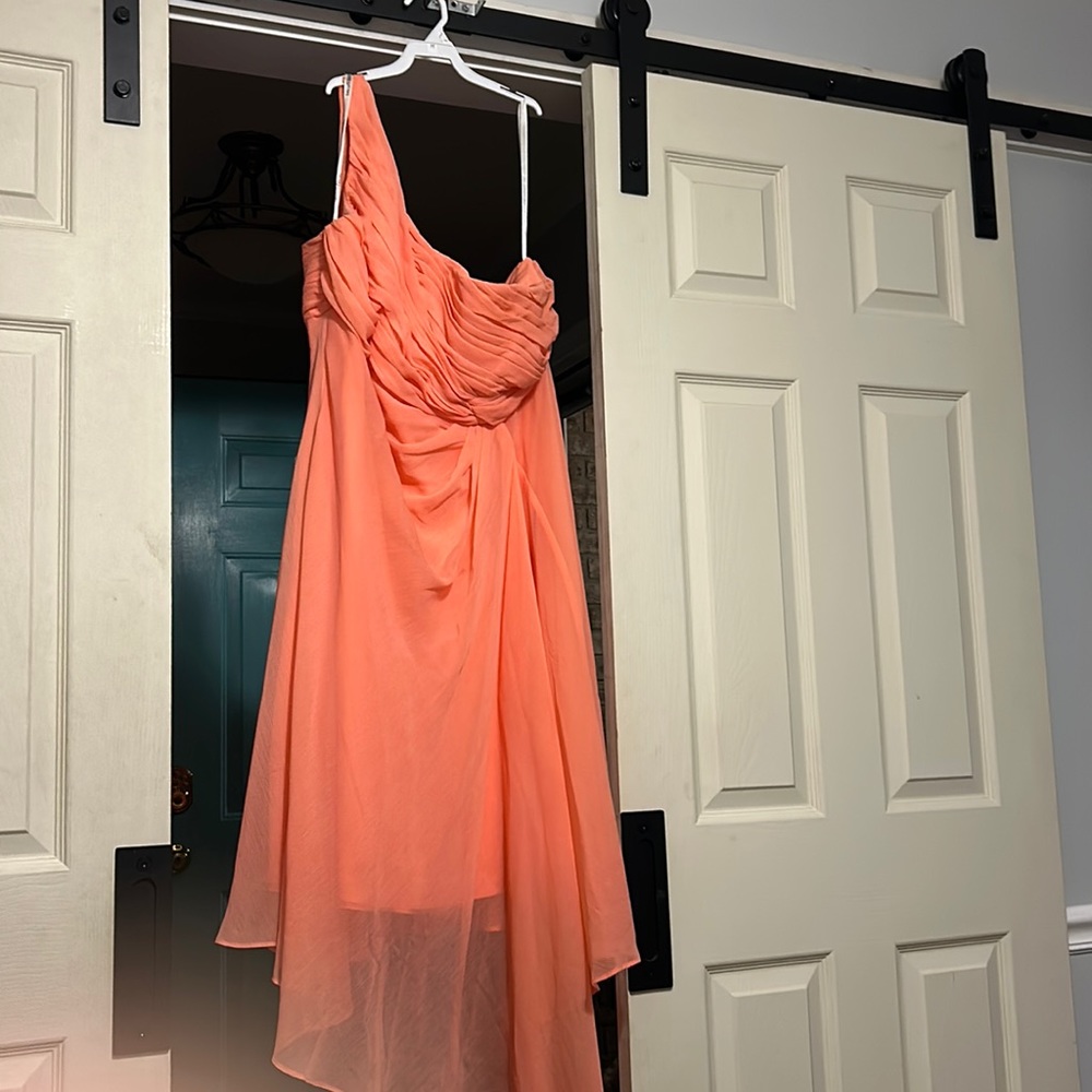 David’s Bridal Dress